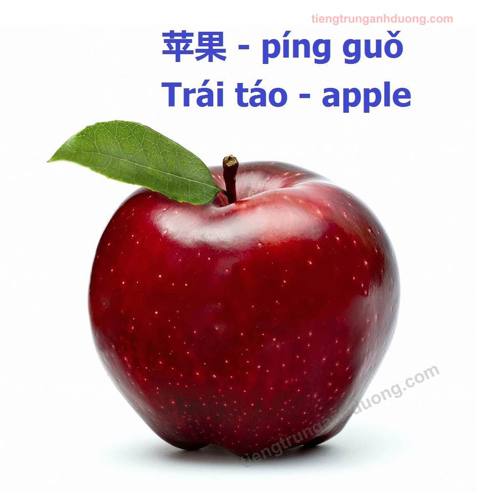 Bộ sưu tập hình nền hoa quả đẹp cực chất – 999+ hình nền hoa quả đẹp độ